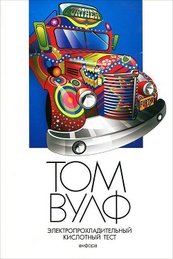 Книга Электропрохладительный кислотный тест