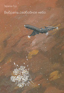 Читать онлайн книгу Выбрать свободное небо (СИ) автор Тур Тереза Книга Выбрать свободное небо (СИ)