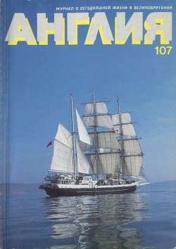 Книга Что же это было?