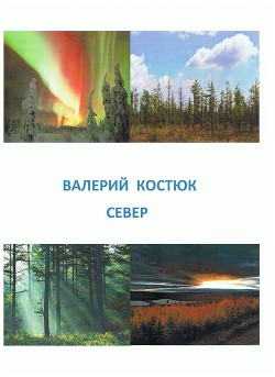 Книга Север (СИ)