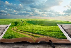 Книга Кроки