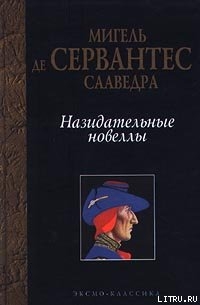 Читать онлайн книгу Назидательные новеллы автор Де Сервантес Сааведра Мигель Книга Назидательные новеллы