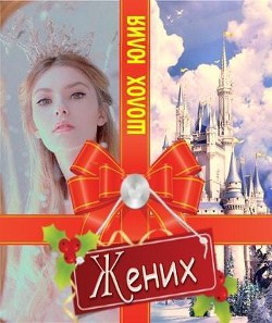Читать онлайн книгу Жених (СИ) автор Шолох Юлия Книга Жених (СИ)