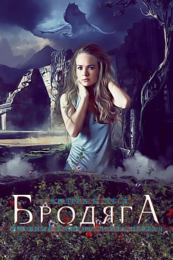 Читать онлайн книгу Бродяга (ЛП) автор Хёст Андреа К. Книга Бродяга (ЛП)