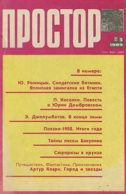 Книга Солдатские ботинки. Японская зажигалка из Египта