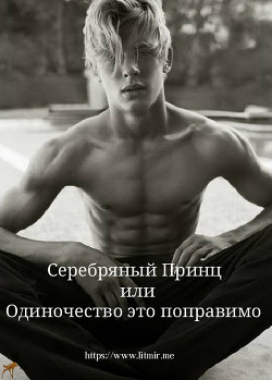 Читать онлайн книгу Серебряный Принц или Одиночество это поправимо (СИ) автор Книга Серебряный Принц или Одиночество это поправимо (СИ)