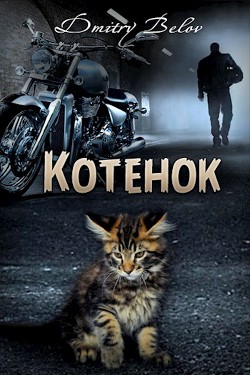 Читать онлайн книгу Котёнок (СИ) автор Белов Дмитрий Книга Котёнок (СИ)