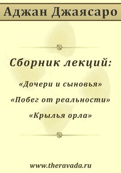 Читать онлайн книгу Сборник лекций (СИ) автор Джаясаро Аджан Книга Сборник лекций (СИ)