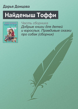 Книга Найденыш Тоффи