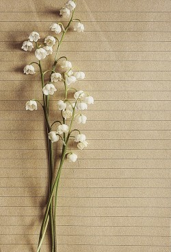 Читать онлайн книгу Варвара из Мейрна (СИ) автор Головина Оксана Книга Варвара из Мейрна (СИ)