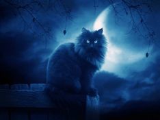 Читать онлайн книгу Найди меня в темноте (СИ) автор Полянская (Фиалкина) Катерина Книга Найди меня в темноте (СИ)
