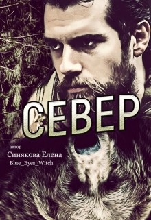 Книга Север (СИ)