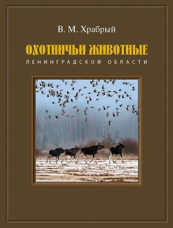 Читать онлайн книгу Охотничьи животные Ленинградской области автор Храбрый Владимир Книга Охотничьи животные Ленинградской области