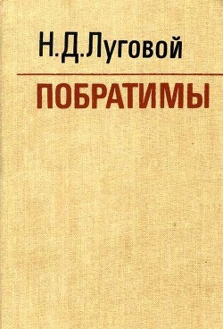 Книга Побратимы (Партизанская быль)