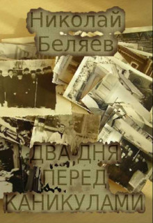 Читать онлайн книгу Два дня перед каникулами (СИ) автор Беляев Николай Владимирович Книга Два дня перед каникулами (СИ)