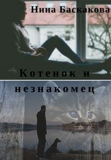 Книга Котенок и незнакомец (СИ)