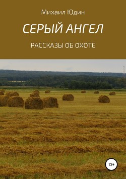 Книга Серый Ангел