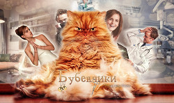 Книга Бубенчики (СИ)