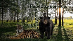 Читать онлайн книгу Перерождённые (СИ) автор Крапицкая Влада Книга Перерождённые (СИ)