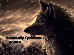 Книга Волки