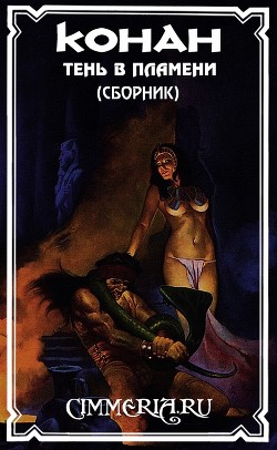 Читать онлайн книгу Тень в пламени автор Коллектив авторов Книга Тень в пламени