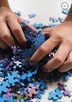 Книга Разбросанные пазлы жизни