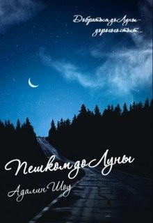 Книга Пешком до Луны (СИ)
