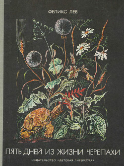 Книга Пять дней из жизни черепахи