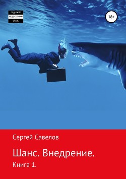 Книга Шанс. Внедрение. Я в моей голове. Книга 1