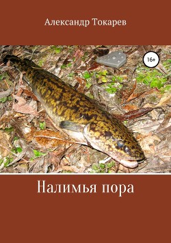 Читать онлайн книгу Налимья пора автор Токарев Александр Книга Налимья пора