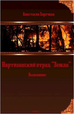 Книга Партизанский отряд 