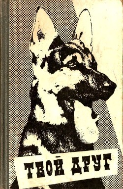 Книга Твой друг (Сборник)