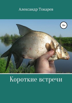 Читать онлайн книгу Короткие встречи автор Токарев Александр Книга Короткие встречи