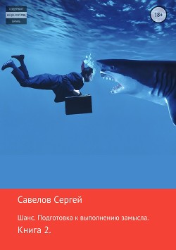 Книга Шанс. Подготовка к исполнению замысла. Книга 2