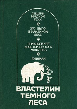 Книга Властелин Темного Леса (Историко-приключенческие повести)