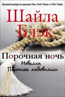 Книга Порочная ночь (ЛП)