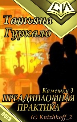 Книга Преддипломная практика (СИ)