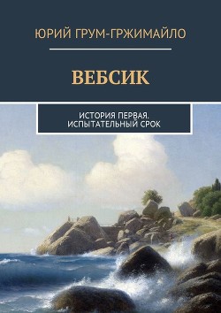 Книга Вебсик. Испытательный срок (СИ)