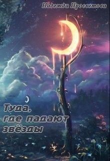 Книга Туда, где падают звёзды (СИ)