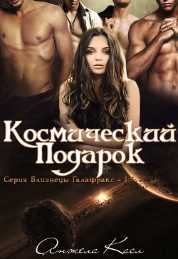 Книга Космический подарок (ЛП)