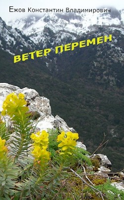 Книга Ветер перемен (СИ)