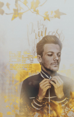 Книга Hey, Princess (ЛП)