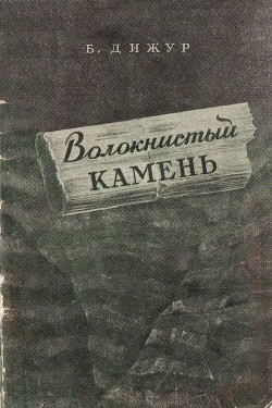 Читать онлайн книгу Волокнистый камень автор Дижур Белла Абрамовна Книга Волокнистый камень