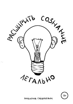 Читать онлайн книгу Расширить сознание легально автор Гайдукевич Владислав Александрович Книга Расширить сознание легально