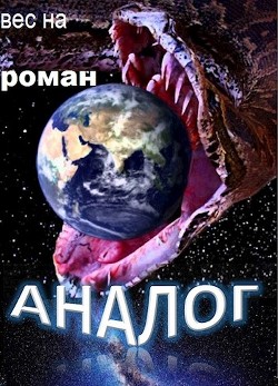 Книга Аналог (СИ)