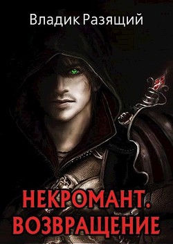 Книга Некромант. Возвращение (СИ)