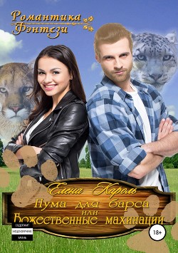 Книга Пума для барса, или Божественные махинации