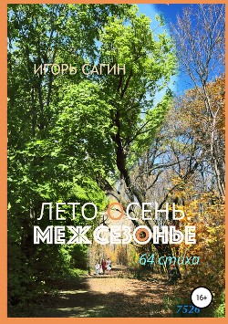 Читать онлайн книгу Лето-осень. Межсезонье автор Сагин Игорь Книга Лето-осень. Межсезонье