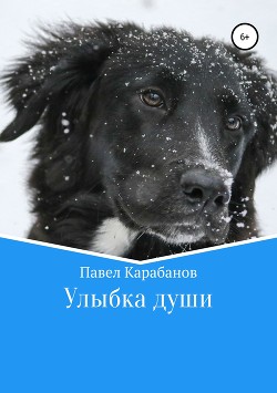 Читать онлайн книгу Улыбка души автор Карабанов Павел Юрьевич Книга Улыбка души