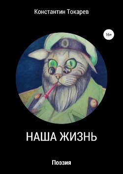 Читать онлайн книгу Наша жизнь автор Токарев Константин Книга Наша жизнь